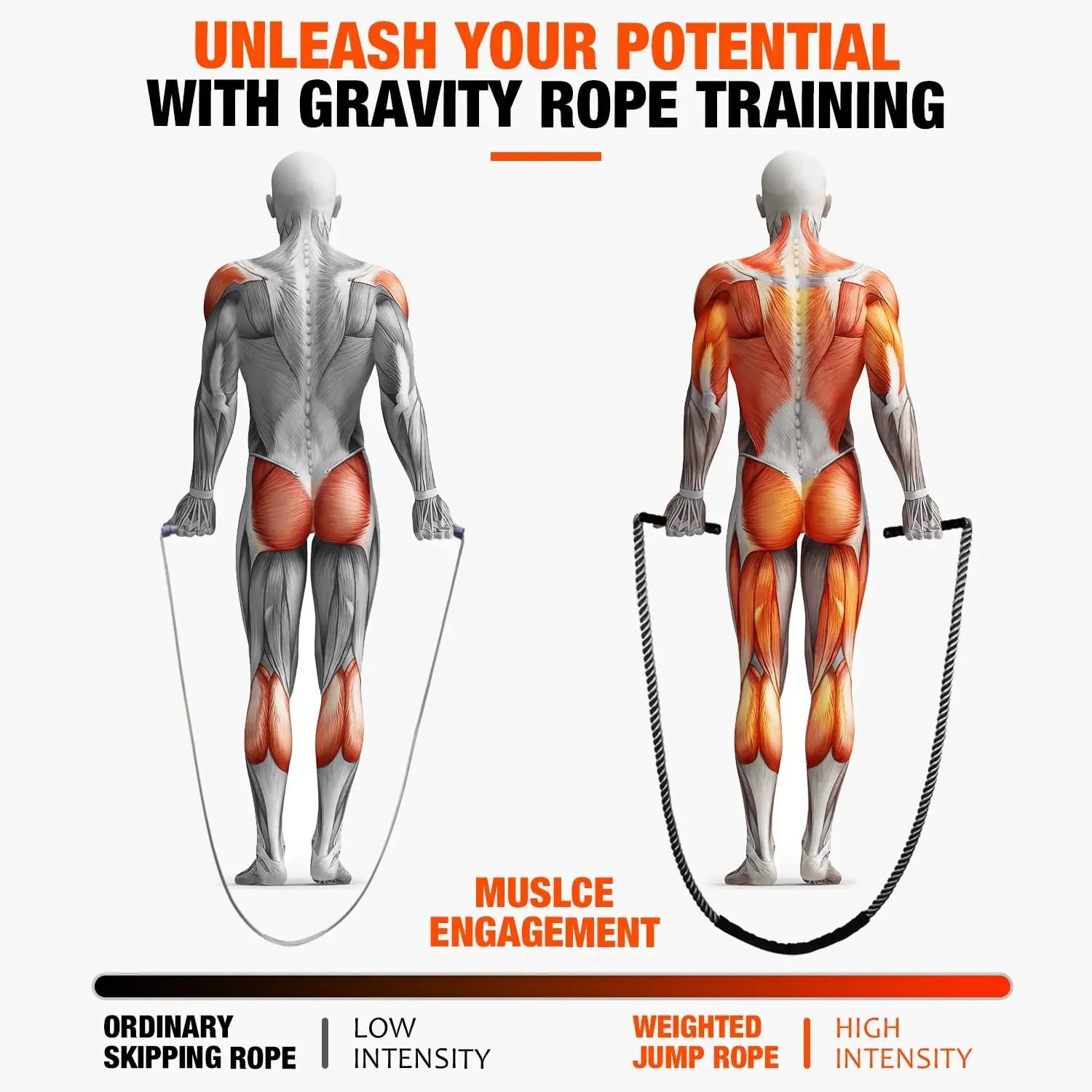 Weighted Fitness Jump Rope