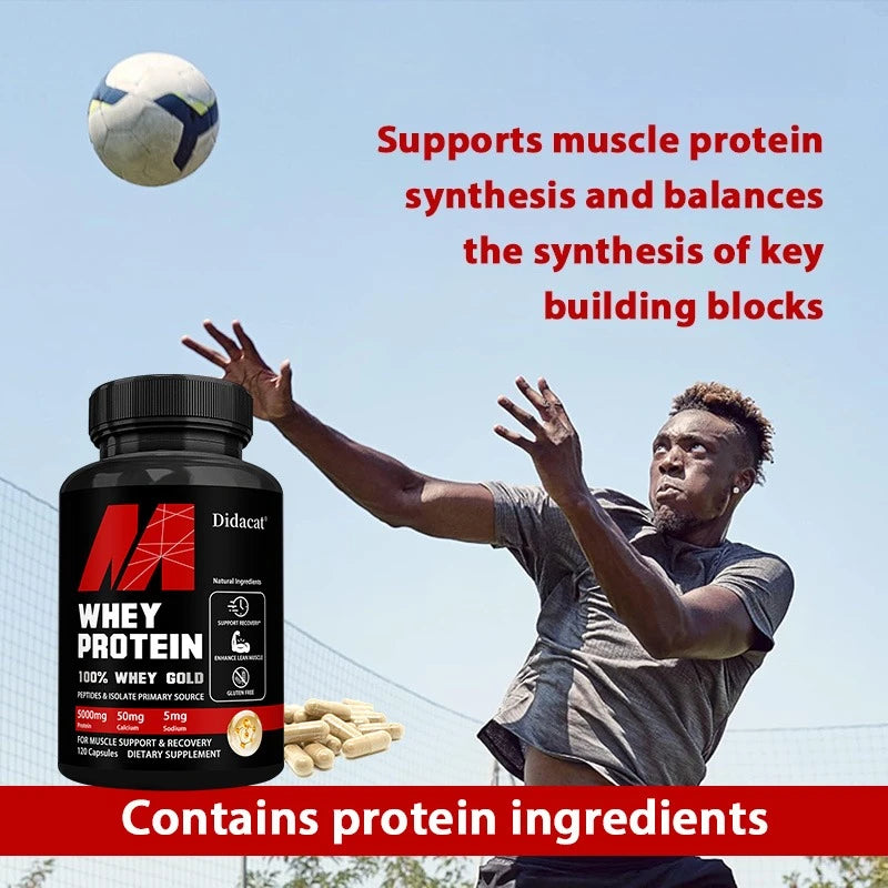 Whey Protein Capsules 5000mg Muscle Recovery Immunity Support Supplement